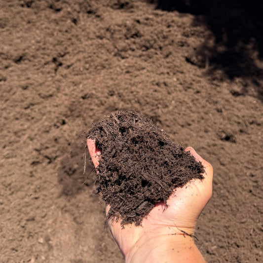 Chocolate Brown Mulch