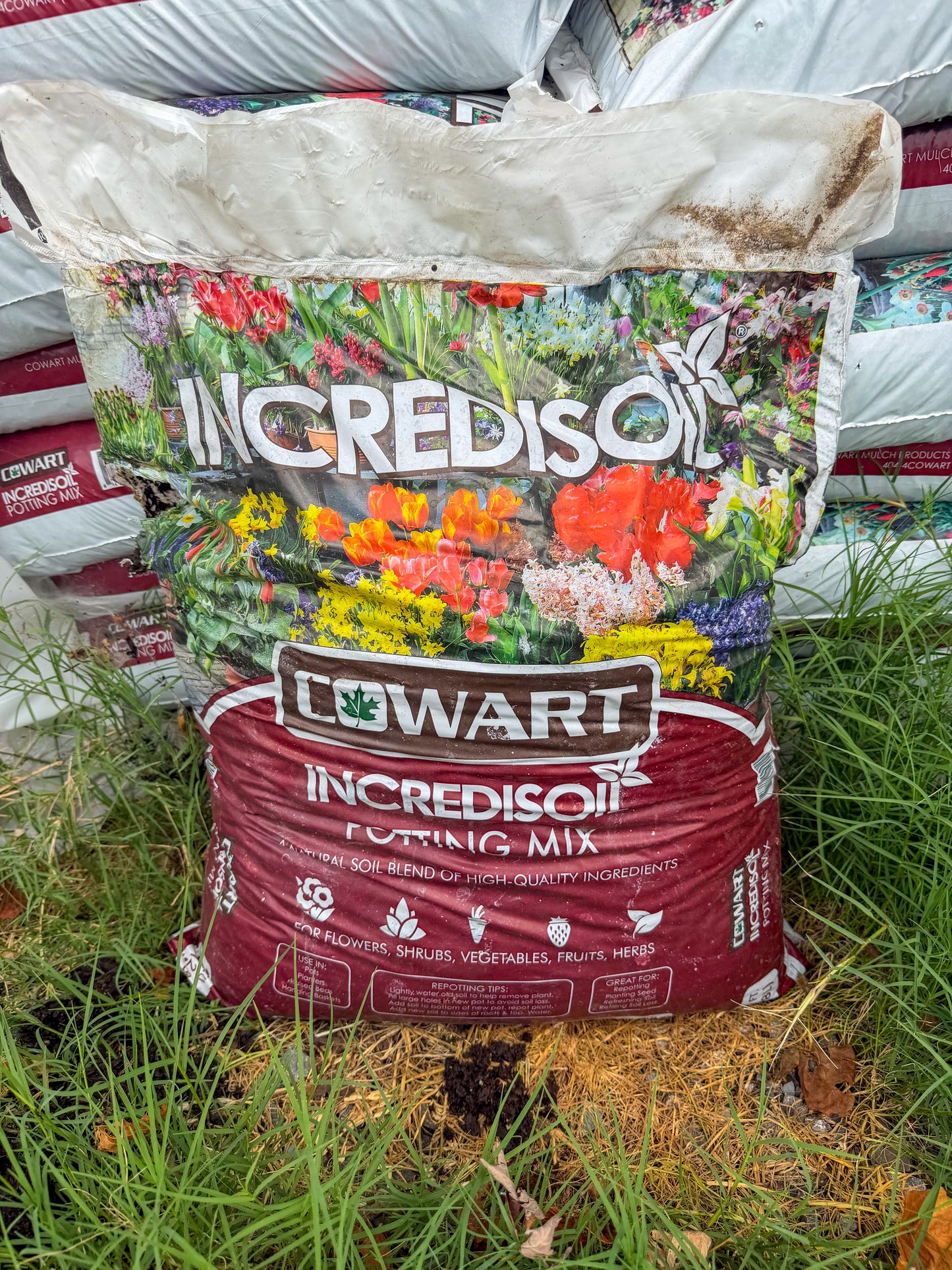 Incredisoil Potting Mix