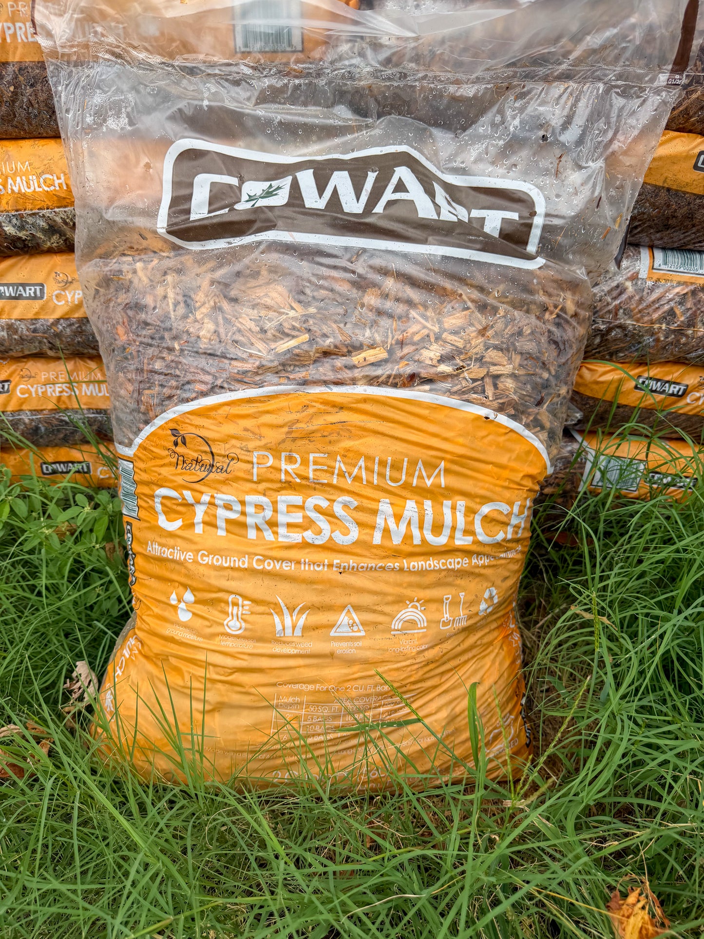 Cypress Mulch